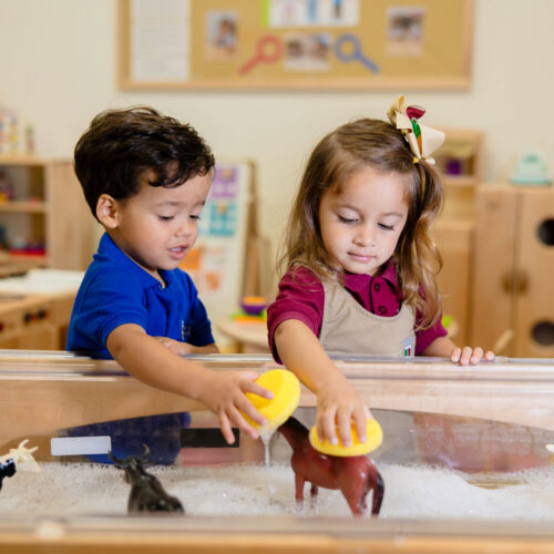 Private school for toddlers in Coral Gables